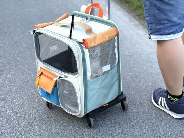 2-in-1-Haustierrucksack mit Rollen im Test: Wie praktisch ist die Transporttasche für Katzen?